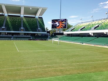 Stadium Wintergreen